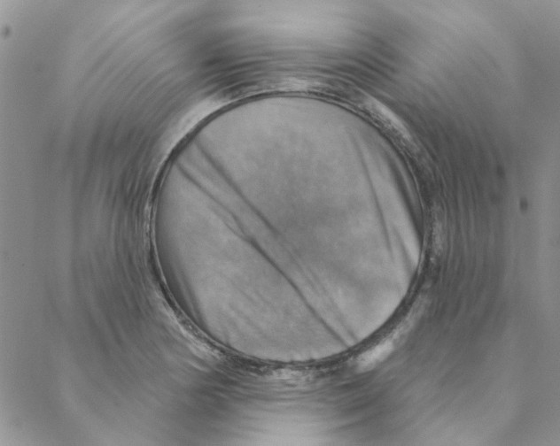 X0000088201178200706121733