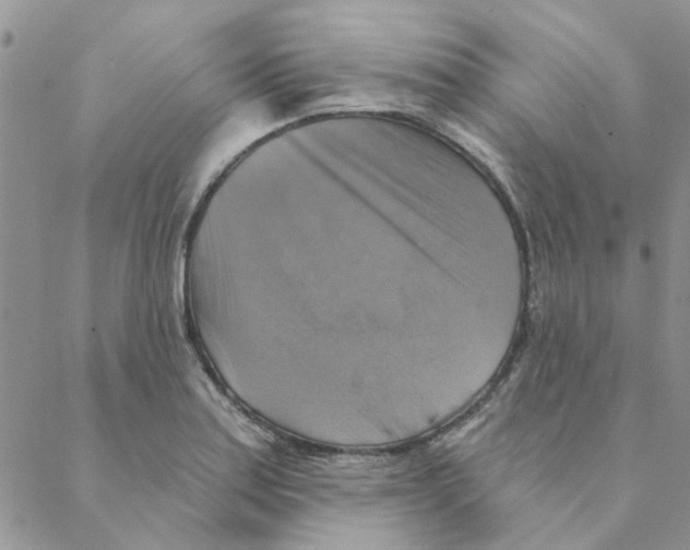 X0000088201179200706121733