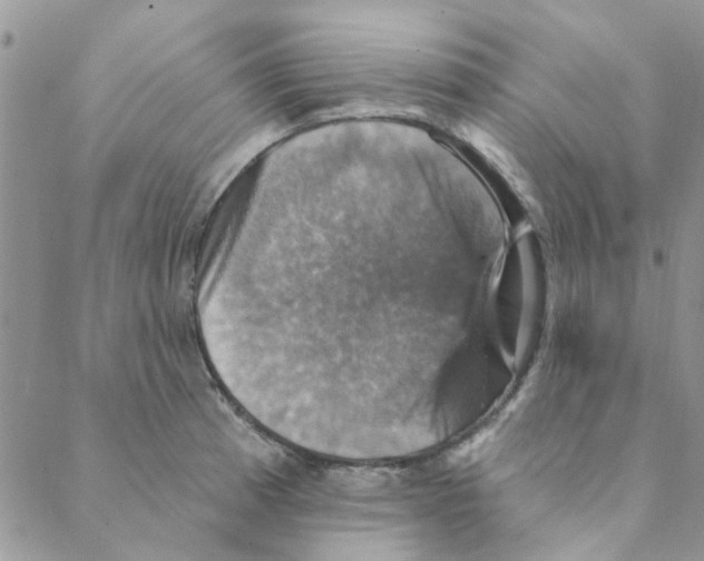 X0000088201185200706121733