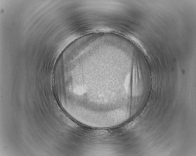 X0000088201186200706121733