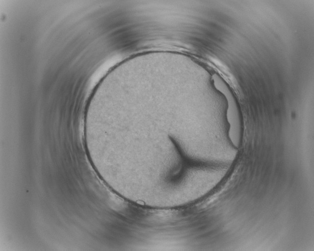 X0000088201188200706121733