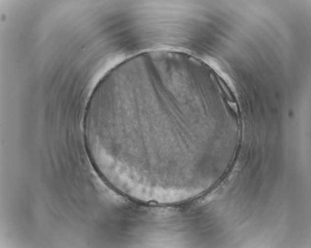 X0000088201189200706121733