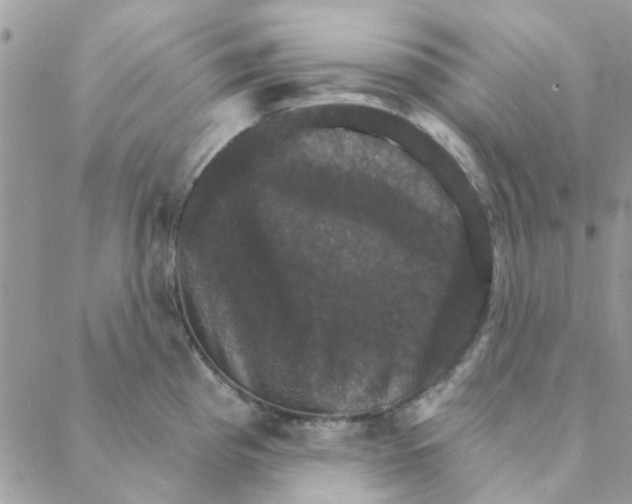 X0000088201193200706121733