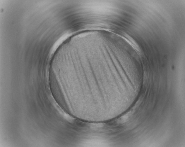 X0000088201196200706121733