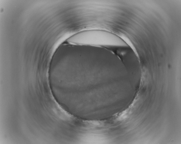 X0000088201197200706121733
