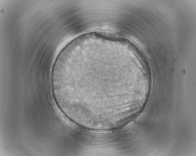 X0000088201200200706121733