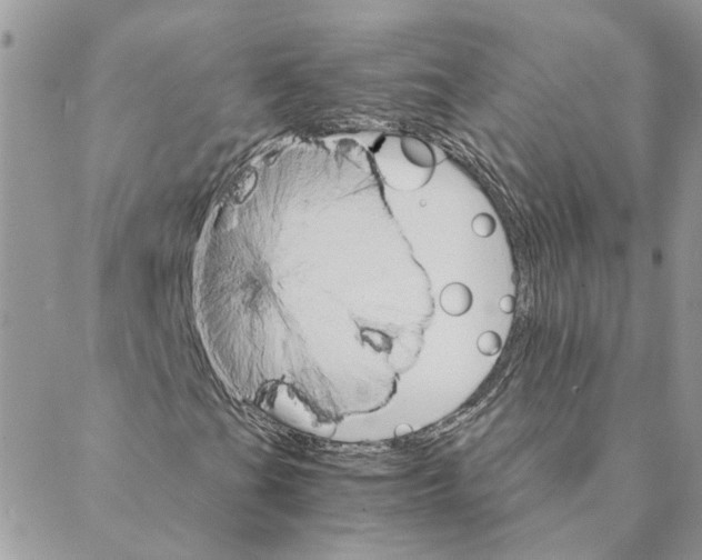X0000088201201200706121732