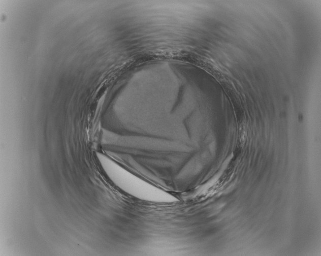 X0000088201202200706121732
