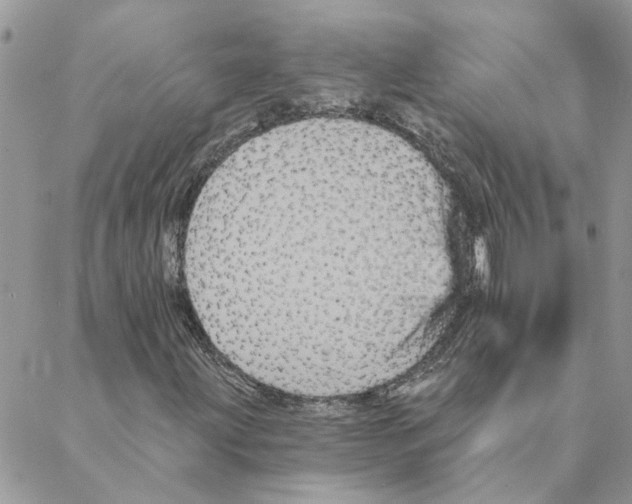 X0000088201203200706121732