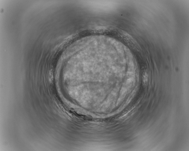 X0000088201204200706121732
