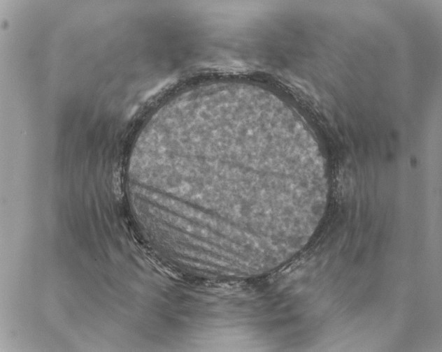 X0000088201205200706121732