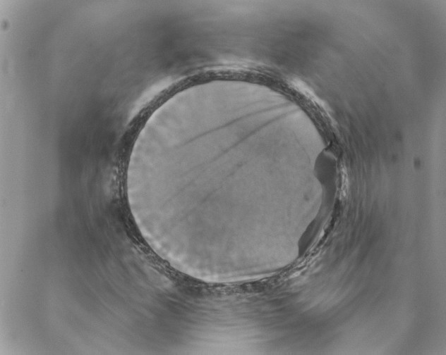 X0000088201208200706121732