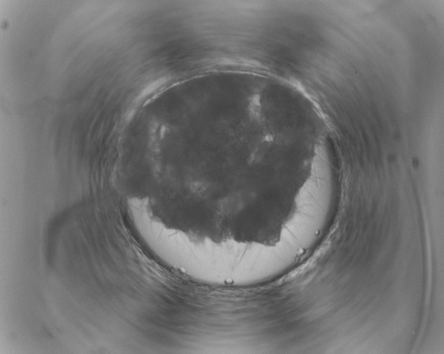 X0000088201211200706121732