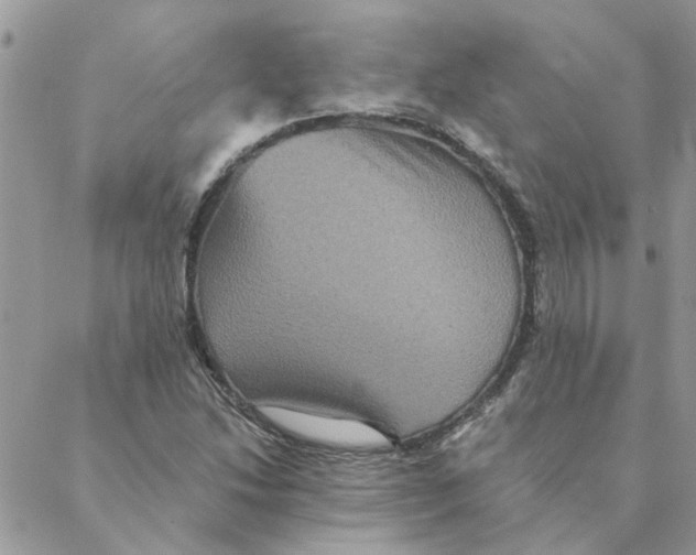 X0000088201214200706121732