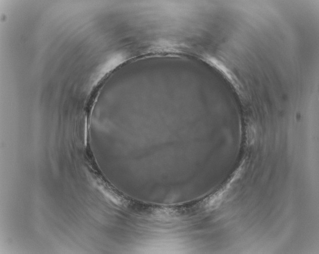X0000088201219200706121732