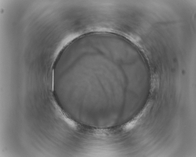 X0000088201223200706121732