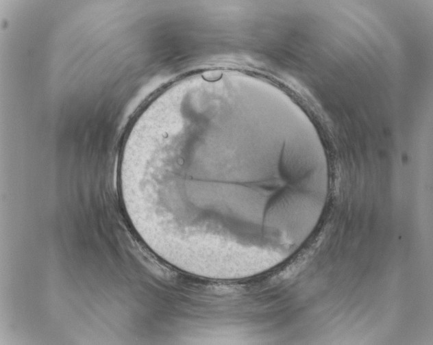 X0000088201224200706121732