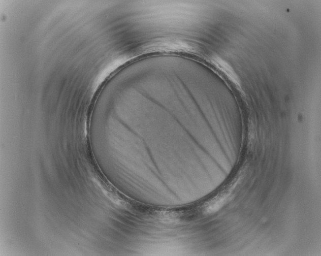 X0000088201226200706121732