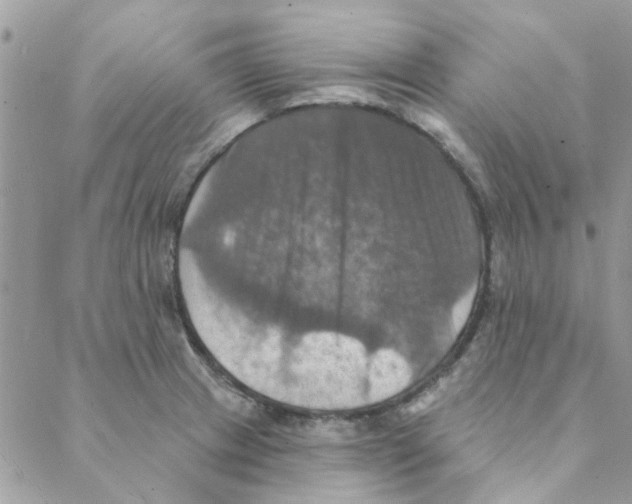 X0000088201233200706121732
