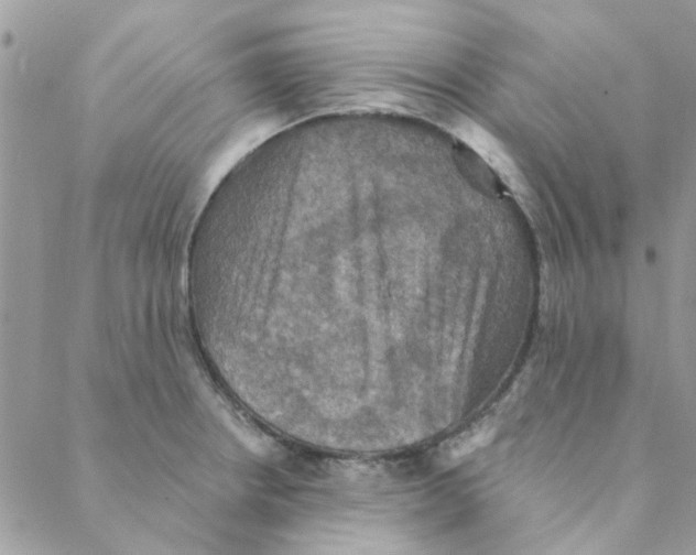X0000088201234200706121732