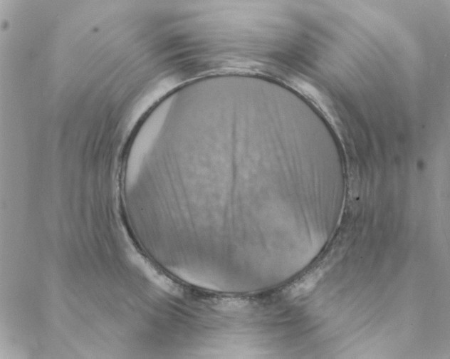 X0000088201235200706121732