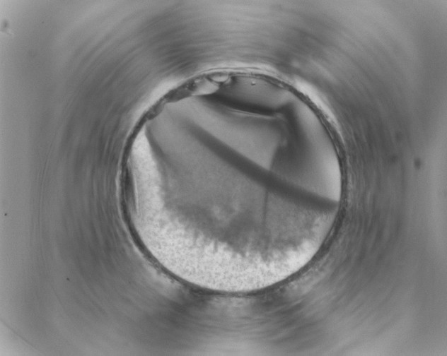X0000088201237200706121732