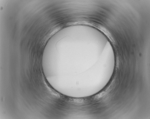X0000088201241200706121732