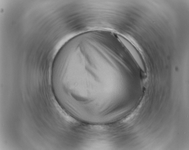 X0000088201246200706121733