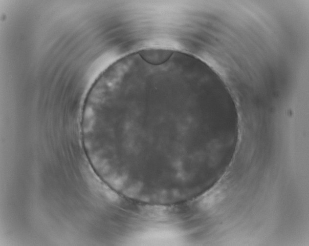 X0000088201248200706121733
