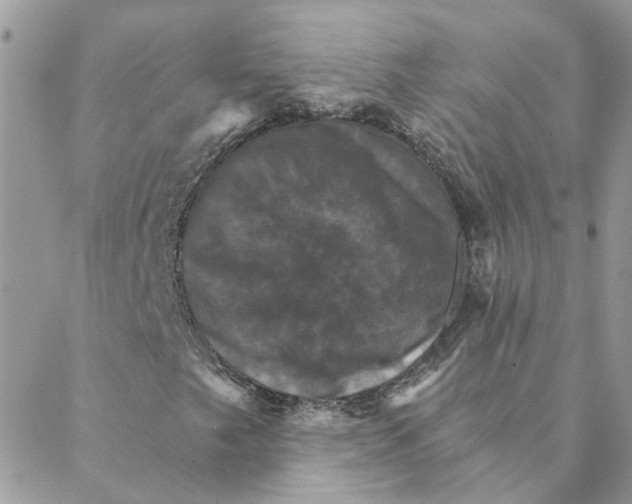 X0000088201249200706121732