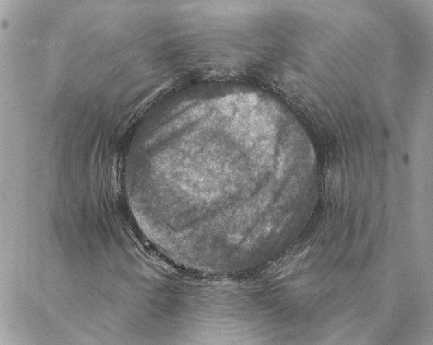 X0000088201250200706121732