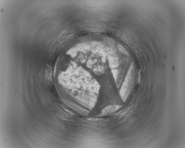 X0000088201251200706121732
