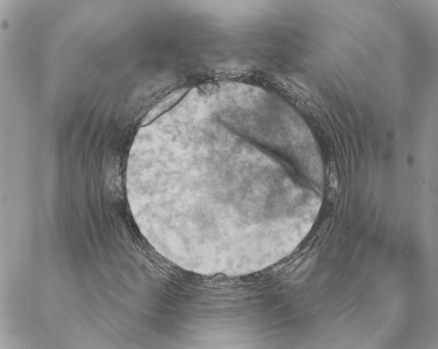 X0000088201252200706121732