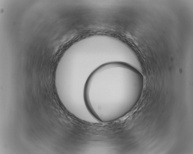 X0000088201253200706121732
