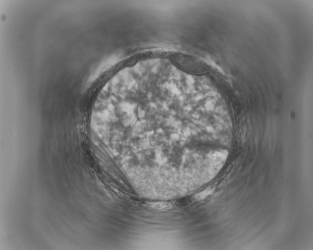 X0000088201255200706121732