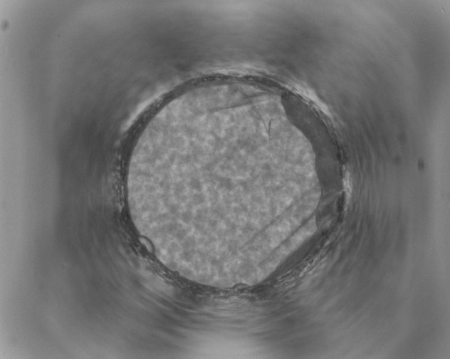 X0000088201256200706121732