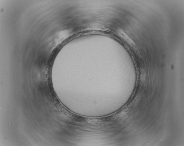 X0000088201258200706121732