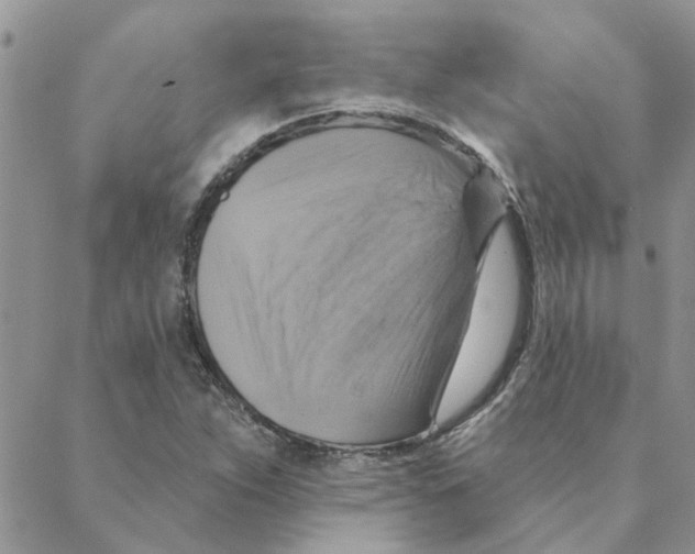 X0000088201263200706121732