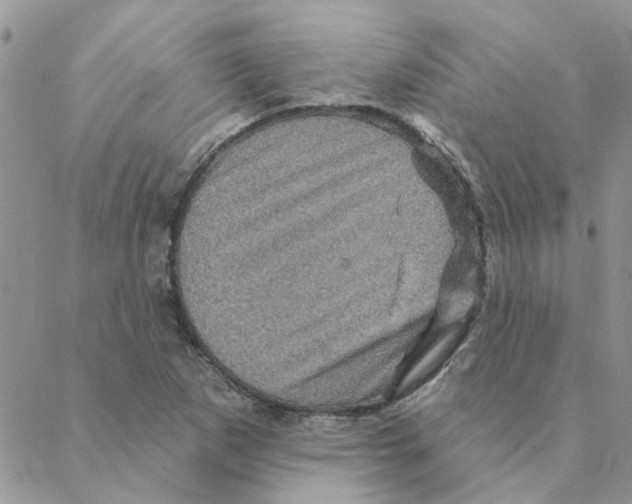 X0000088201265200706121732