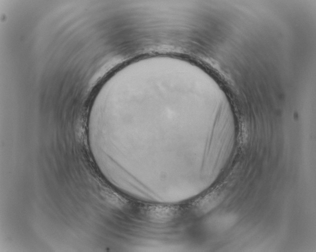 X0000088201266200706121732