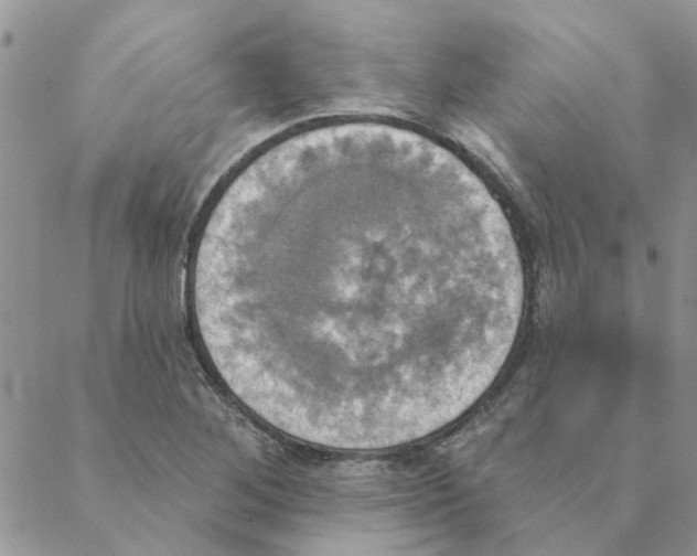 X0000088201268200706121732