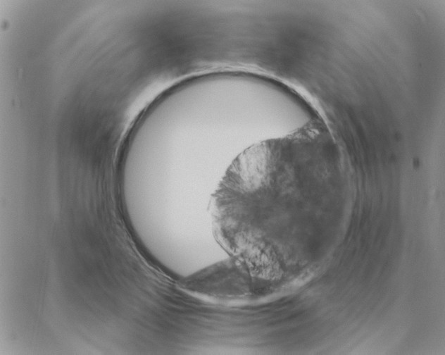 X0000088201271200706121731