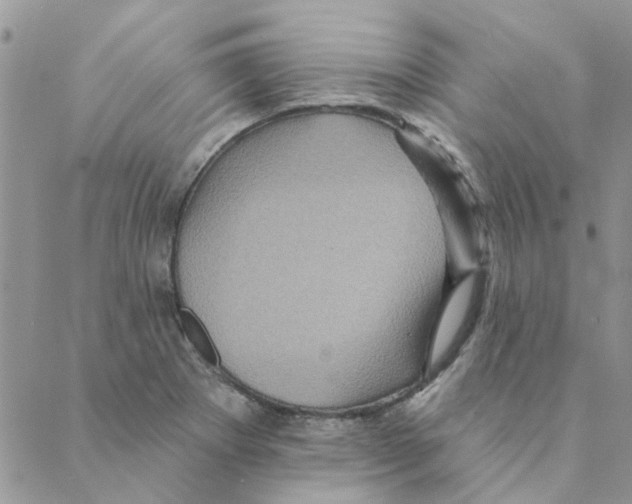 X0000088201273200706121731