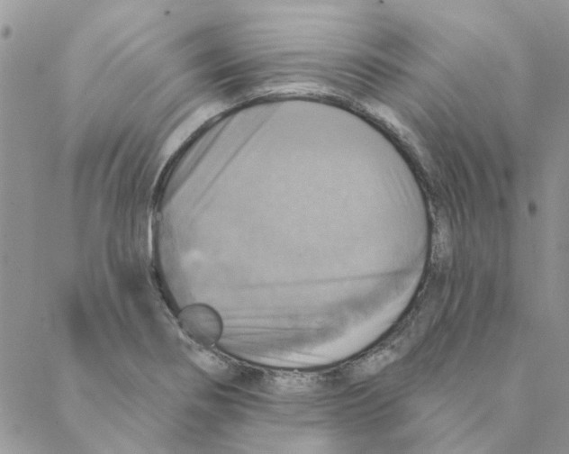 X0000088201274200706121731