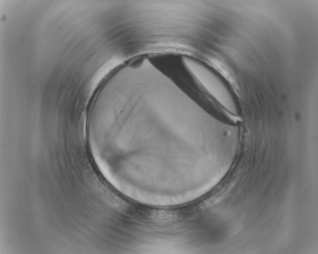 X0000088201275200706121731