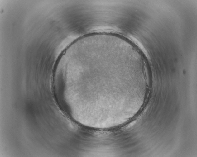 X0000088201277200706121731