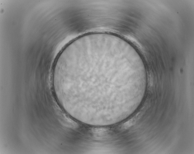 X0000088201278200706121731