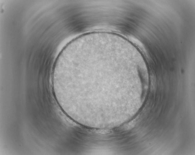 X0000088201288200706121731