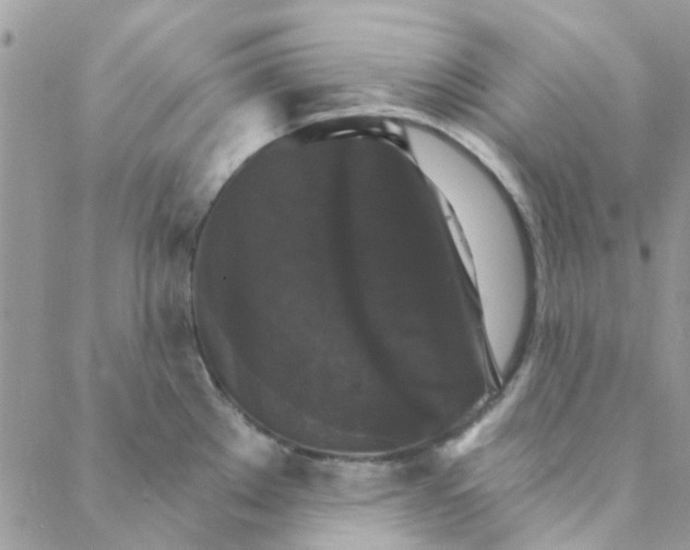 X0000088201289200706121731