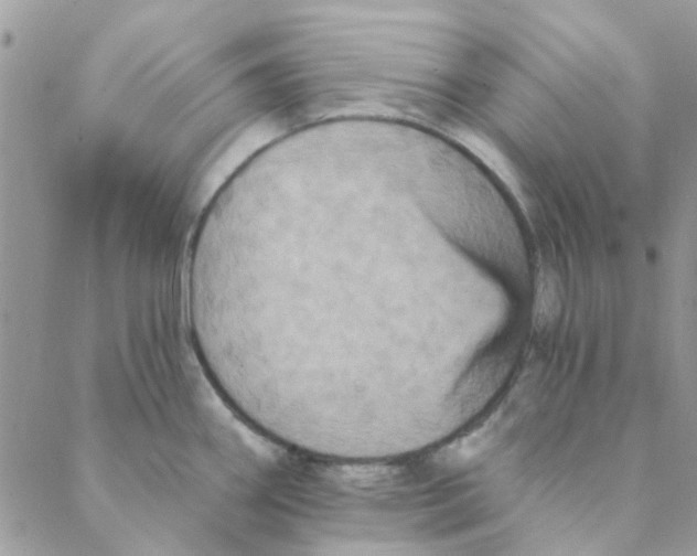 X0000088201290200706121731